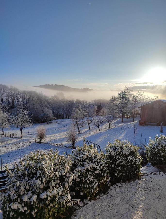 Ferien Im Schwarzwald - Ruhe & Naturverbunden Weilheim Exterior photo