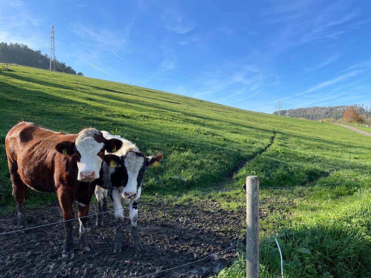 Ferien Im Schwarzwald - Ruhe & Naturverbunden Weilheim Exterior photo